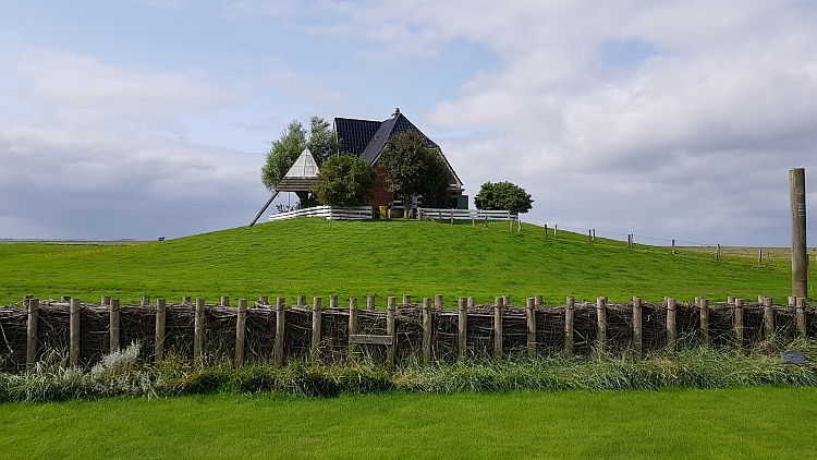 Hallig_3