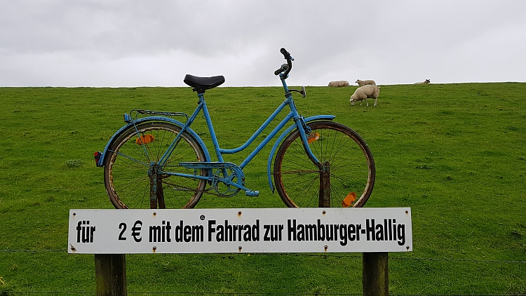 Hallig_3
