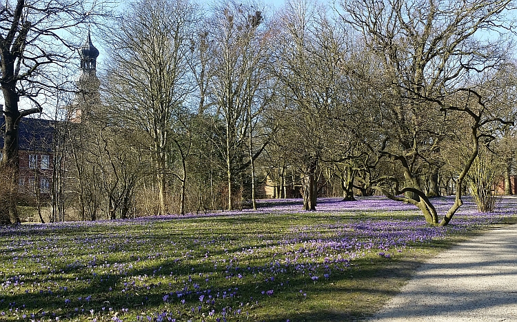 Husum