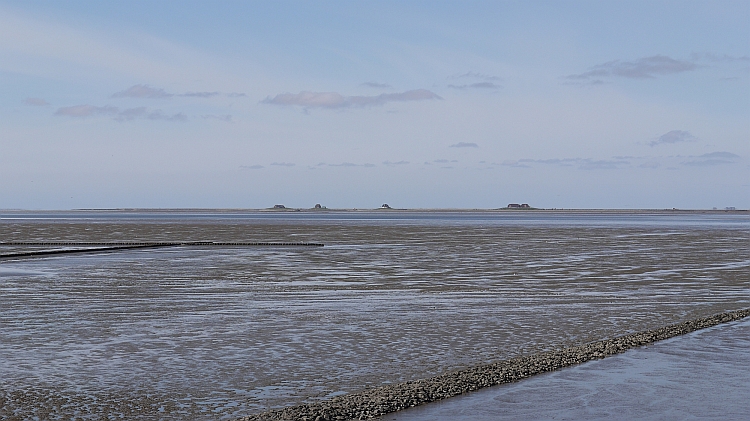 Hallig